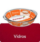 Vidros