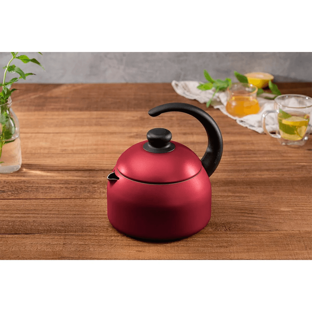 Imagem do cadeado TSA