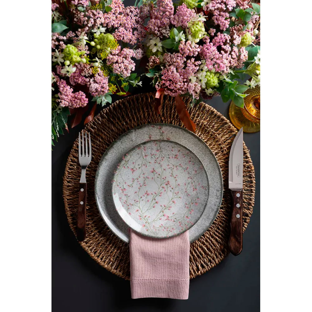 Imagem do cadeado TSA